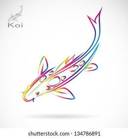 Vector image of an carp koi , illustration - vector