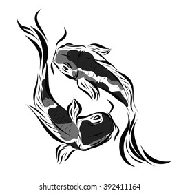 Vector image of an carp koi on white background