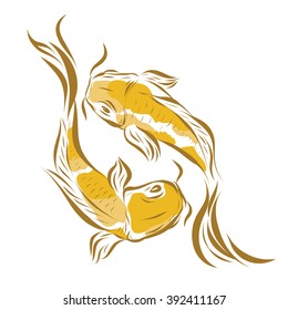 Vector image of an carp koi on white background