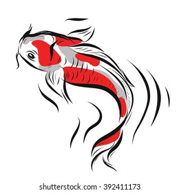 Vector image of an carp koi on white background