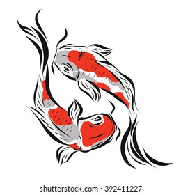 Vector image of an carp koi on white background