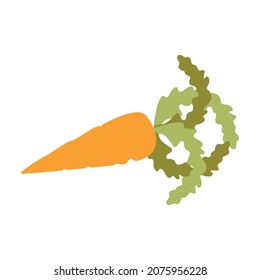 Vector image of a carrot in a flat style, for design purposes.
