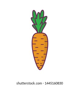 
Vector image carrot icons. Icon on a white background.