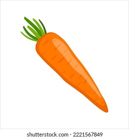 Vector image of a carrot on an isolated background
