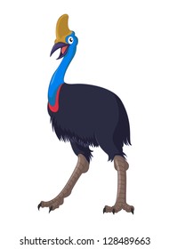 Vector image of cartoon australian ostrich cassowary