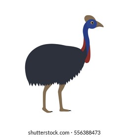 Vector image of cartoon australian ostrich cassowary