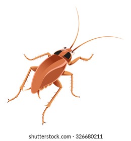 Vector image of an cartoon brown cockroach 