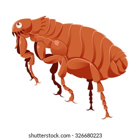 Vector Image Of A Cartoon Brown Flea 