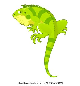 Vector image of a cartoon green Iguana