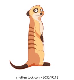 Vector image of the Cartoon smiling Meercat