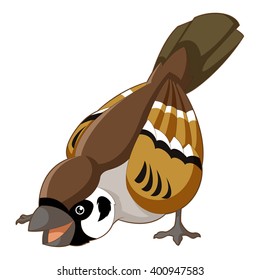 Vector image of the  Cartoon smiling sparrow