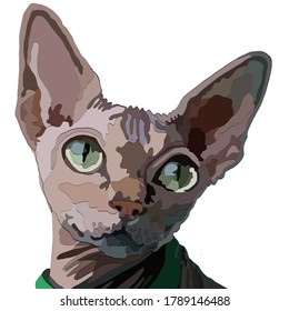 Imagen vectorial de un gato con grandes ojos verdes brillantes y orejas de esfinge sobresalientes