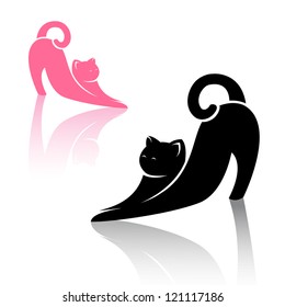 Vector image of an cat on white background