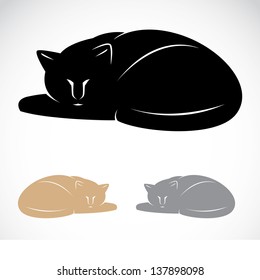  Vector image of an cat on white background