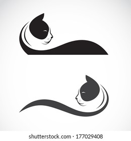 Vector image of an cat on white background