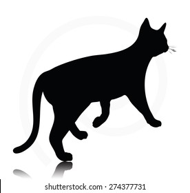 Vector Image - cat silhouette isolated on white background