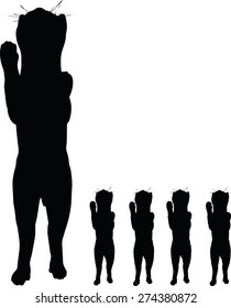 Vector Image - cat silhouette isolated on white background
