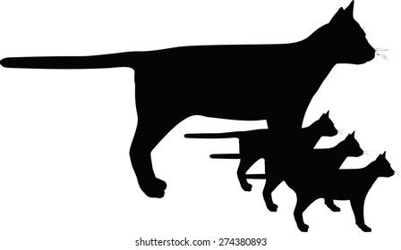 Vector Image - cat silhouette isolated on white background
