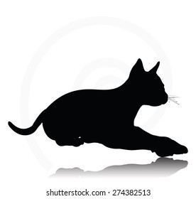 Vector Image - cat silhouette isolated on white background