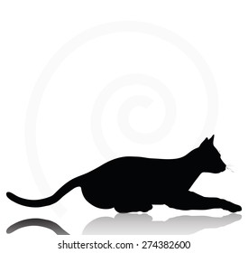 Vector Image - cat silhouette isolated on white background