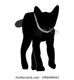 Imagen vectorial de una silueta de gato sobre un fondo blanco.