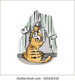 vector image of an cat who took photographs of his claws