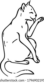 vector image of a cats