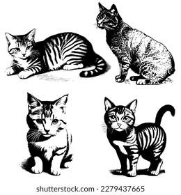 Vector image of cats. Vintage illustration of kittens. Vector illustration of 4 cats. Monochrome, highlighted on a white background. A cat, an agricultural animal.