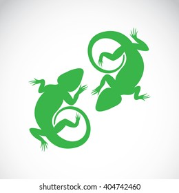 Vector image of an chameleon on white background