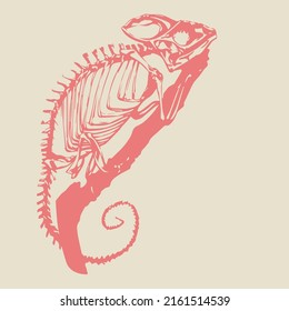Vektorbild eines Chamäleon-Skeletts, das auf einem Ast sitzt
