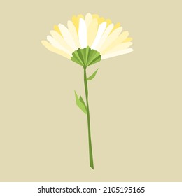 Vector image of a chamomile flower, calendula. Botany. Design of posters, postcards, invitations for holidays, decor, stickers, logo, cosmetics, medicine.
