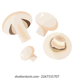 Vector image of champignons. The concept of a healthy diet and lifestyle. A ripe and delicious product. A bright element for your design