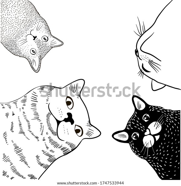 Vector Image Cheerful Cat Meme Stock Vector (Royalty Free) 1747533944