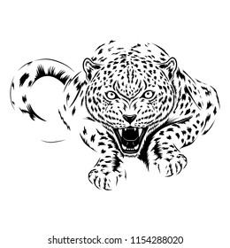 Vector image of a cheetah on a white background.