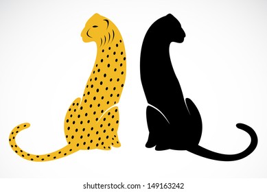 Vector image of an cheetah on white background 