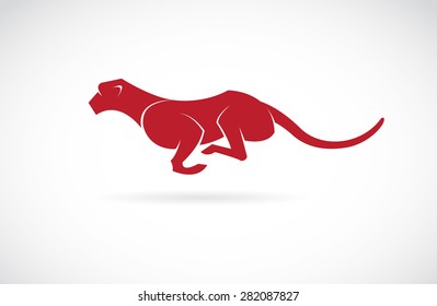 Vector image of an cheetah on white background
