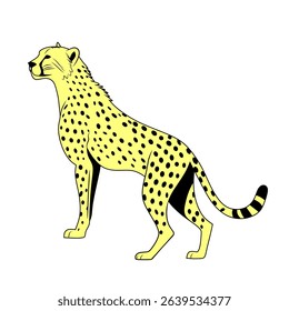 Vector image of a cheetah walking alertly on a clean white background.