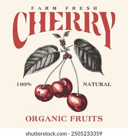 vector image of cherries written cherry sweet moment print style. Vector for silkscreen, dtg, dtf, t-shirts, signs, banners, Subimation Jobs or for any application. vintage graphics print art,