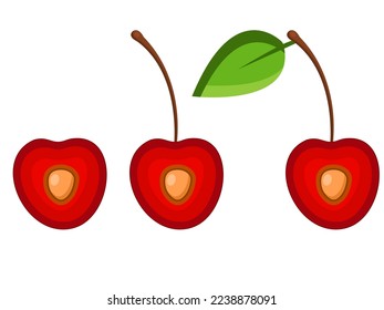 Vector image of a cherry. The concept of healthy food and fresh fruit. Juicy fruits, cherry snacks, vegetarian dishes.