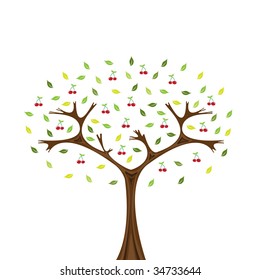 Vector image of cherry tree isolated on white