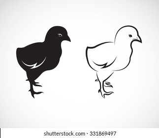 Vector image of an chick design on white background