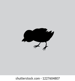 Vector image of an chick design silouette on gray background