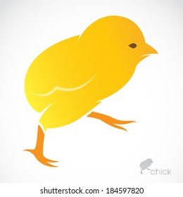 Vector image of an chick on white background