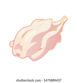 Vector image of chicken carcass isolated on a white background. Vector illustration of hen