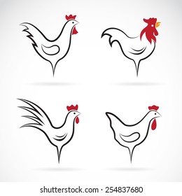 Vector image of an chicken design on white background