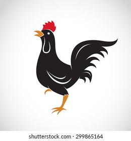 Vector image of an chicken design on white background