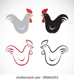Vector image of an chicken design on white background