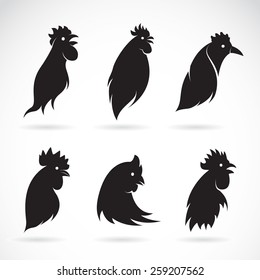 Vector image of an chicken head on white background