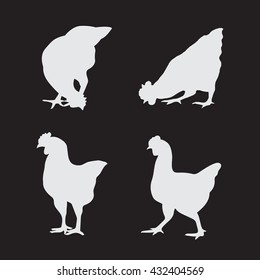Vector image of an chicken on a black background. Vector chicken for your design.