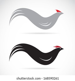 Vector image of an chicken on white background